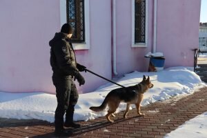    фото:eaomedia.ru Лаура Акопян