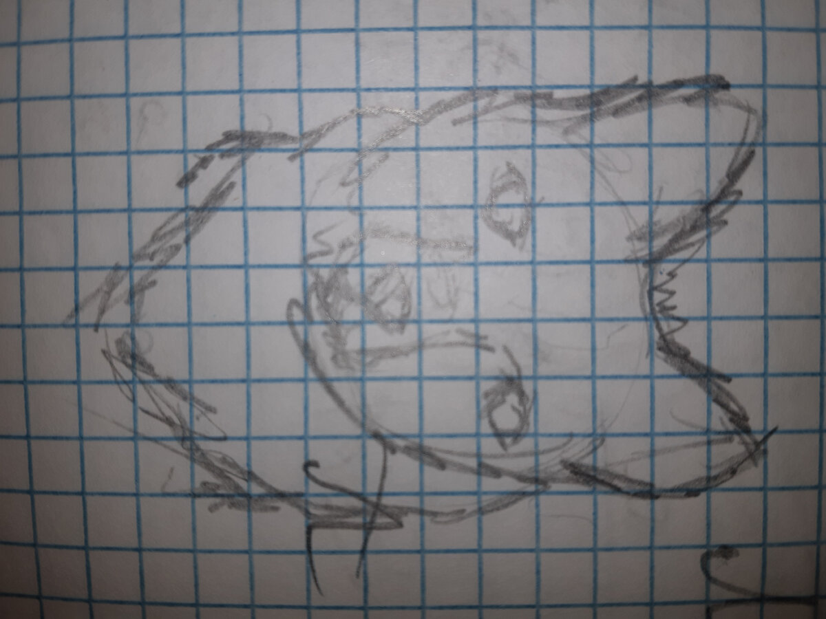 Упс... Что то пошло не так почему фото перевернулось? Ну ладно хоть получилось, ведь это 4 попытка.  ( Это Мэрусик) 