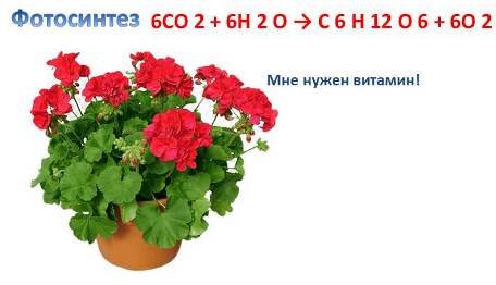 Ей нужен витамин