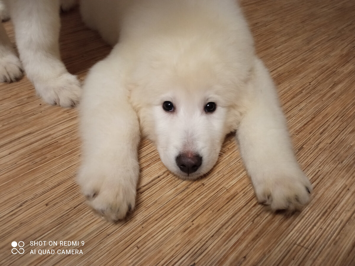 Ростовский парень 