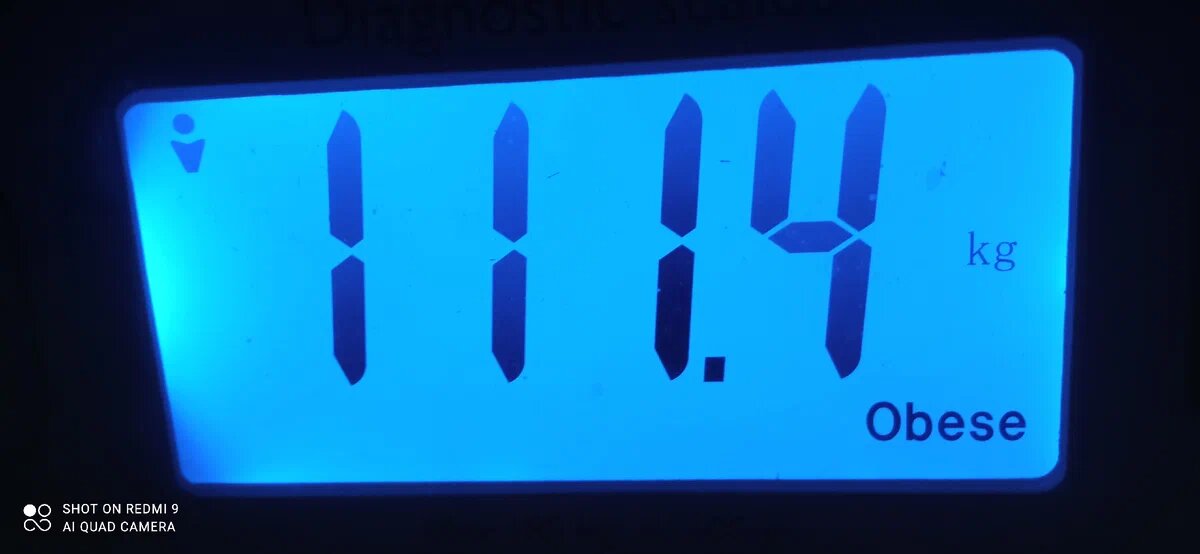 Мой вес 01.01.2023г  Фото автора