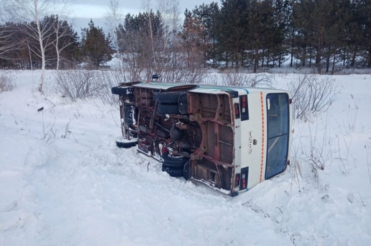    В Саргатском районе Омской области пассажирский автобус слетел в кювет