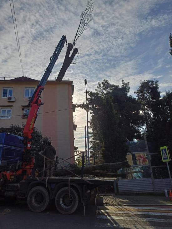     фото: пресс-служба мцу сочи