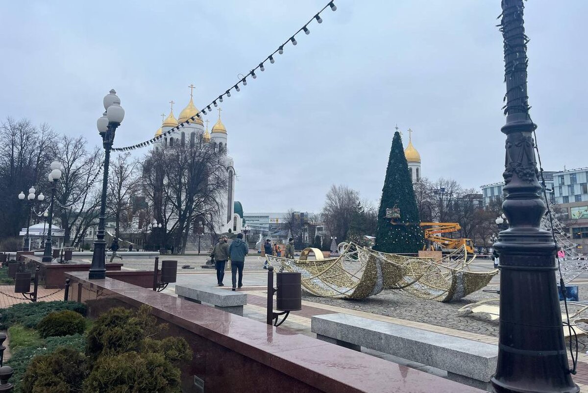 Фото: Новый Калининград