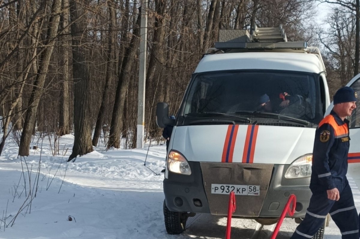    Пензячка получила травму во время катания на ватрушке в «Офицерском овраге»