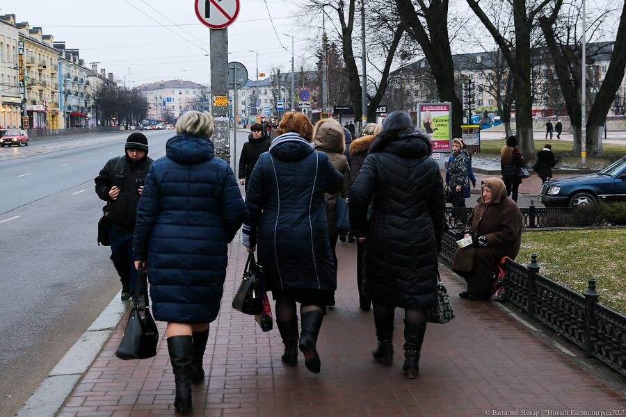 Фото: Виталий Невар / Новый Калининград