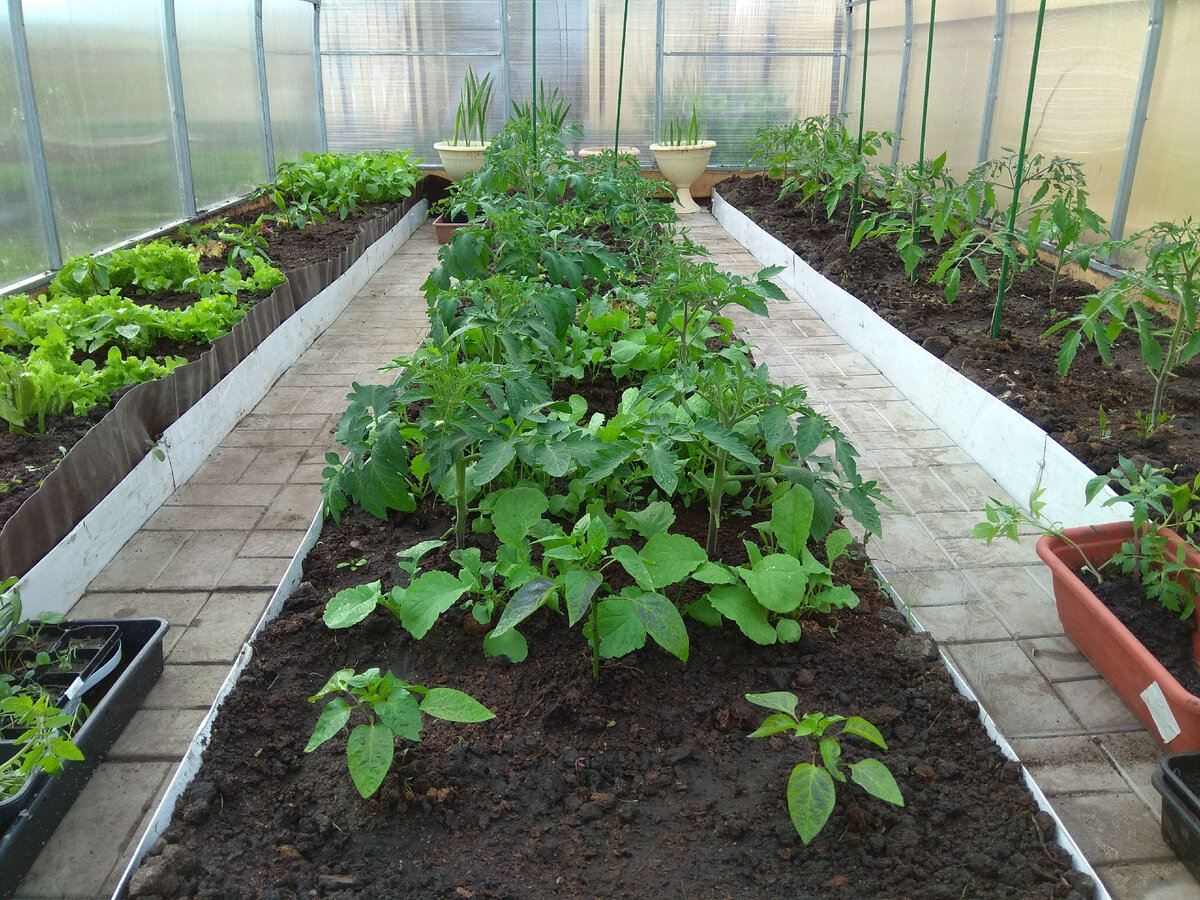 маленькая теплица