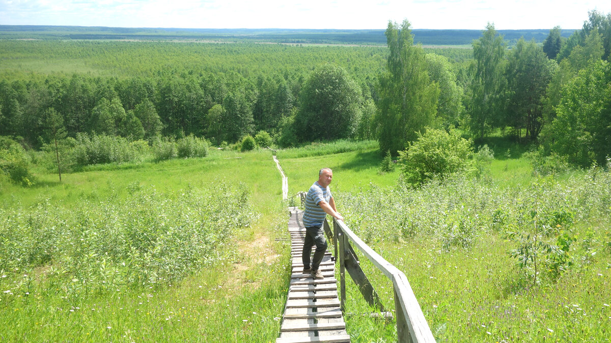 Погода в сусанино гатчинского района. Исуповское болото Костромская область. Сусанинское болото Костромской области. Болото Ивана Сусанина. Край родной Сусанинское поселение.