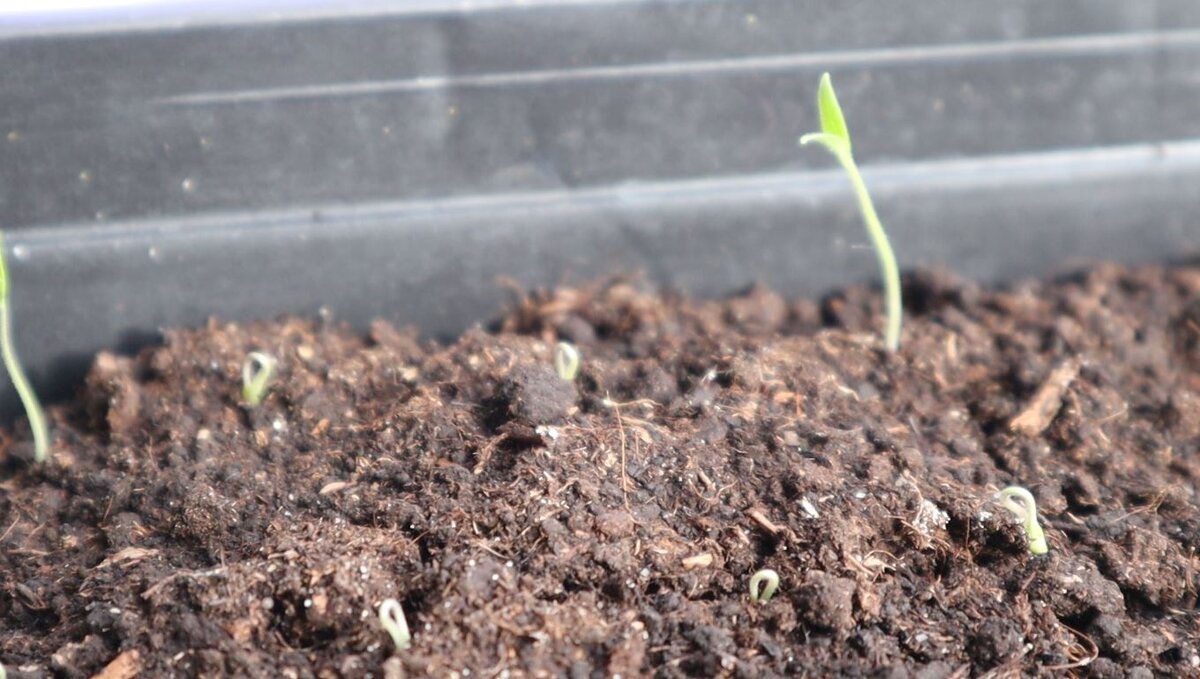 Фото из личного архива.