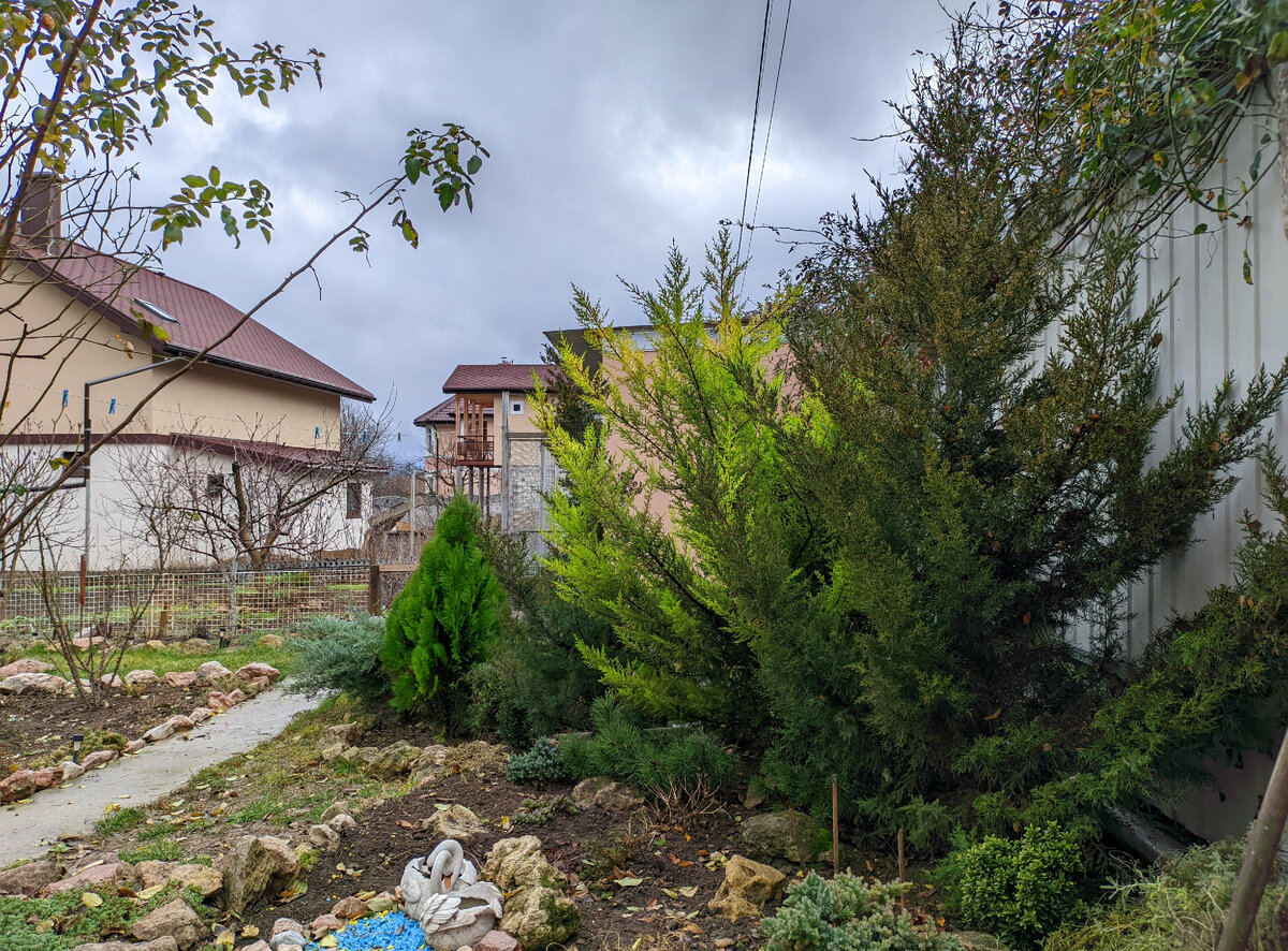 крымский карел дзен