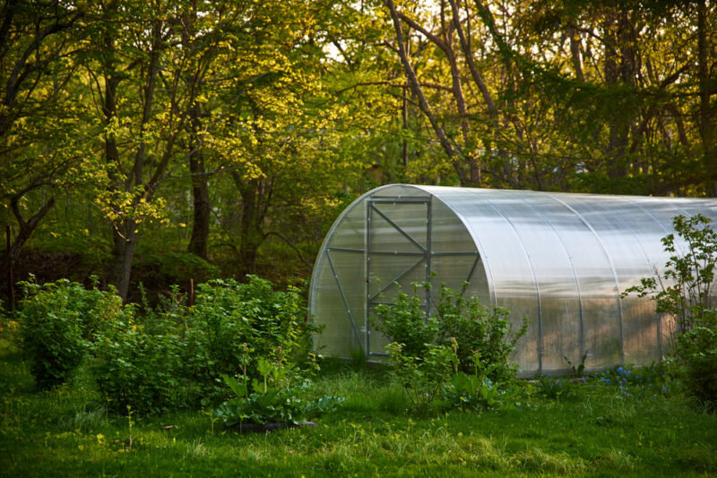 Теплица из поликарбоната