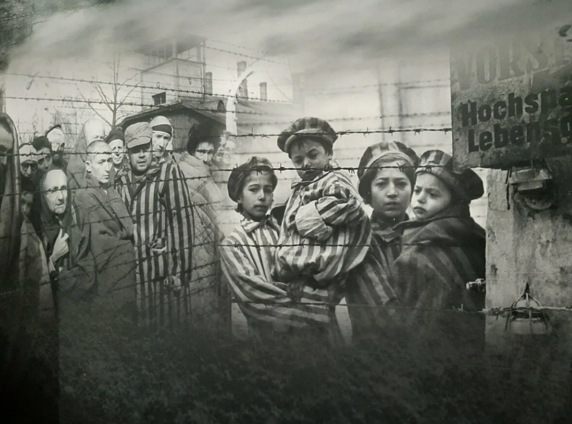 Фото: kvb.by, фото может носить иллюстрационный характер, Непокорённые