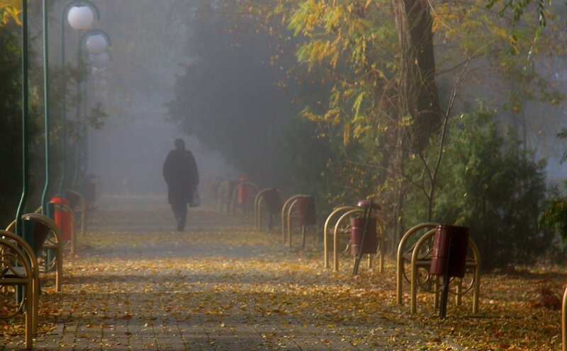 Пассажиры провожали взглядами из окна. Деда никто не встретил. Он одиноко стоял и всматривался в лица прохожих.  Фото Алексея Толстых.