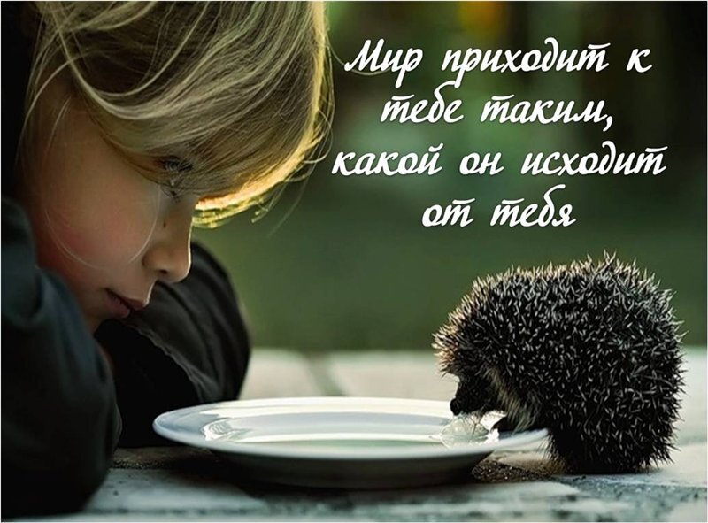 Что такое пришло. Что такое пришло