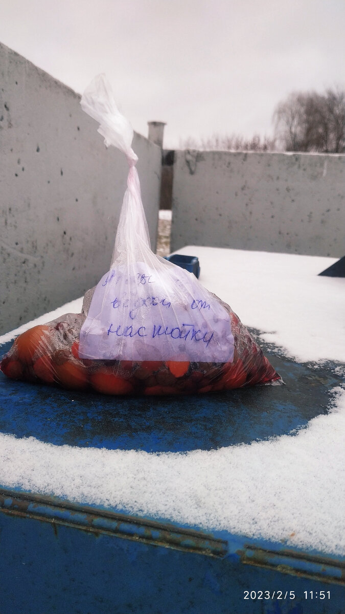 Фото автора.