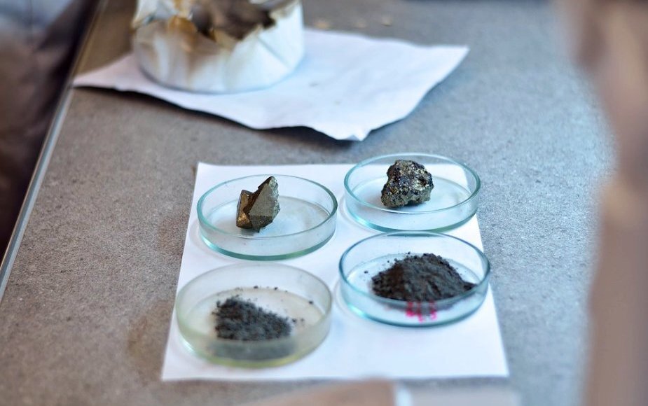    Фото: Уральский федеральный университет