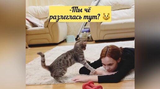 Выкинула бедного котёнка за дверь 😿 Спасибо Шарику, заступился за Фреечку 😽