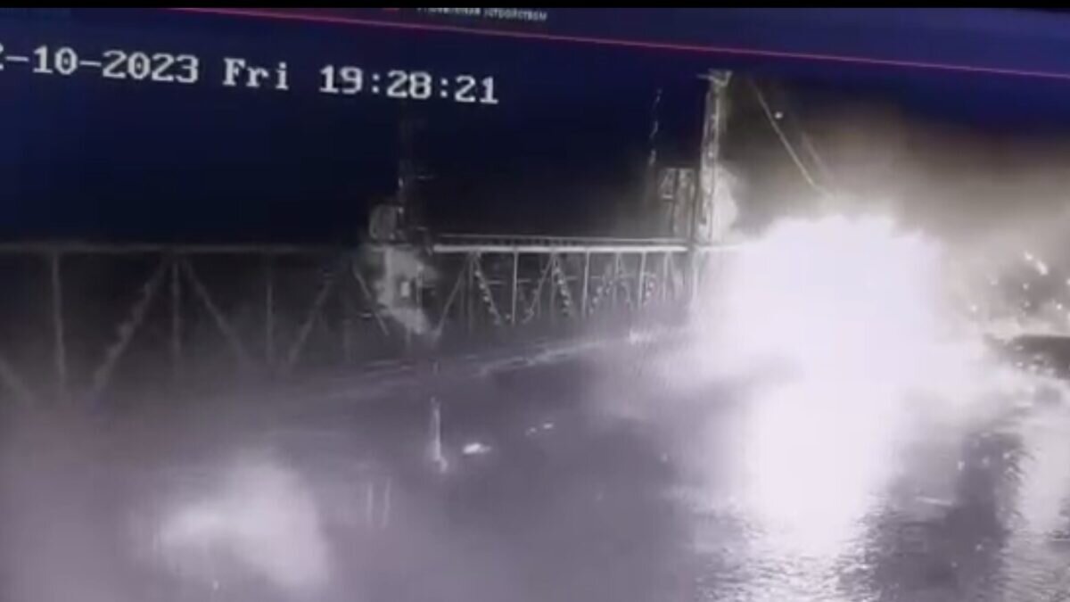 Скриншот видео из Телеграм-канала @sashakots📷
