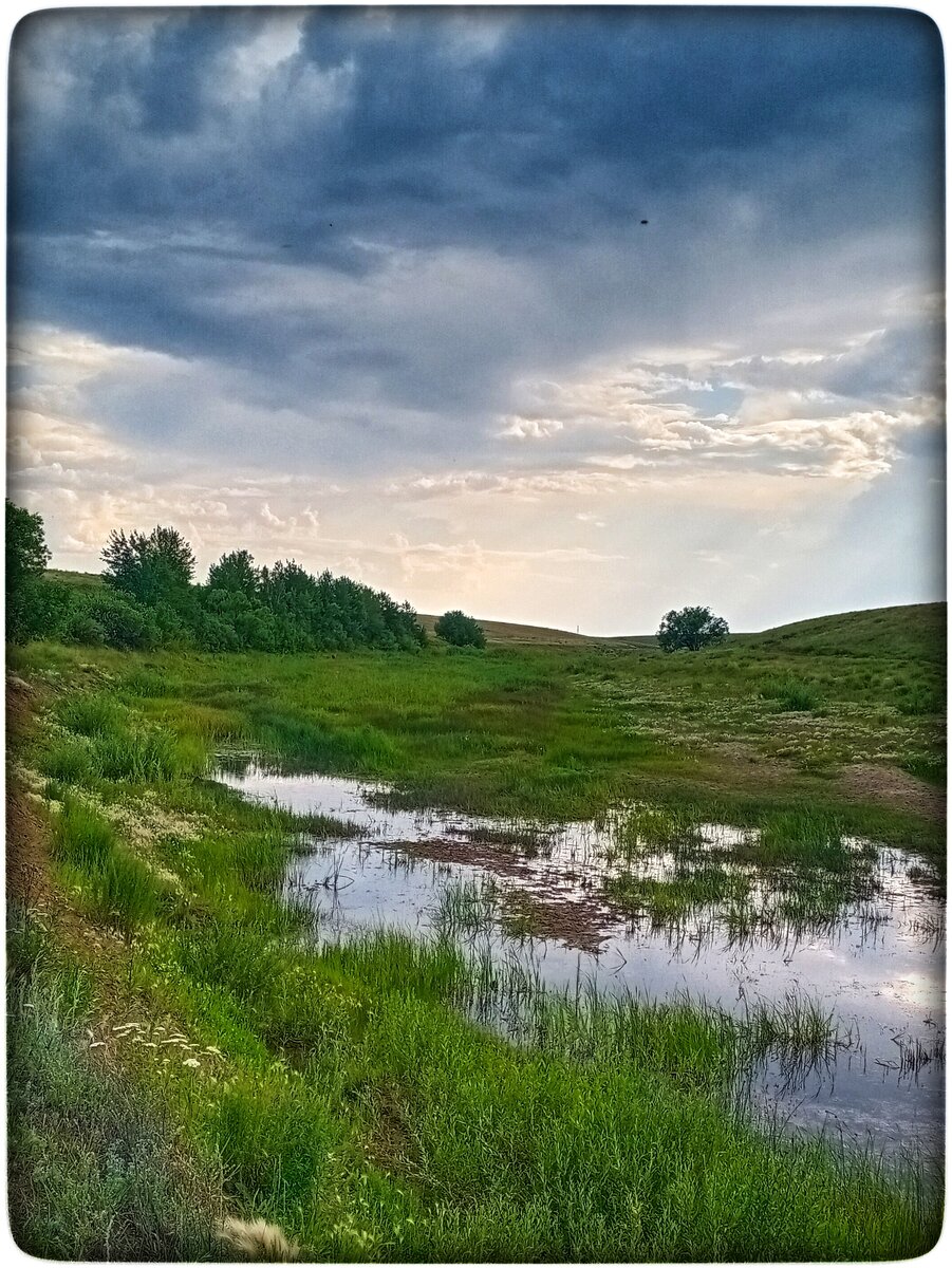 Я хочу света и радости, поэтому не могу и не хочу нести в свой мир грязь. Этого добра в жизни и без меня достаточно.