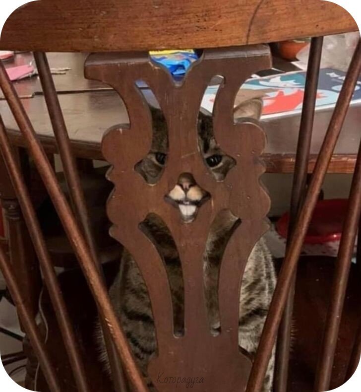 Источник: pinterest.com