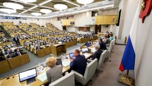    Фото: duma.gov.ru Ирина Амелина