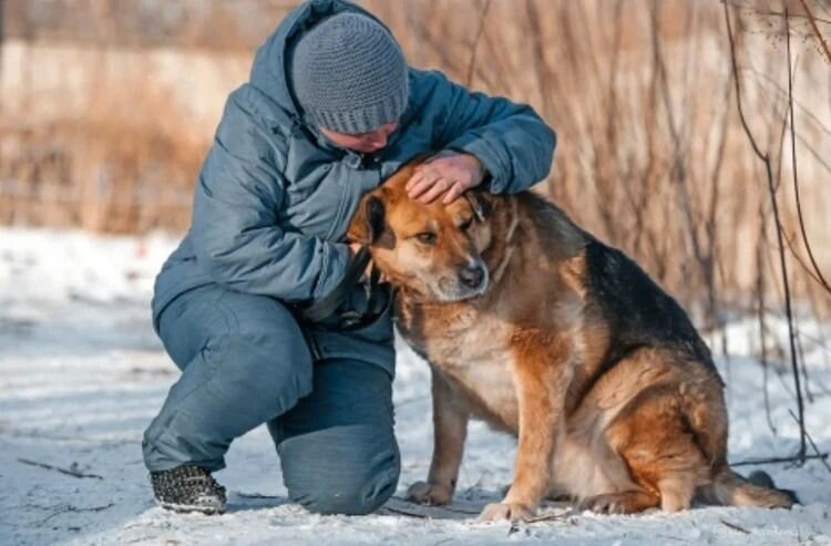Александр и Булочка-Жуля © Фото из архива приюта 
