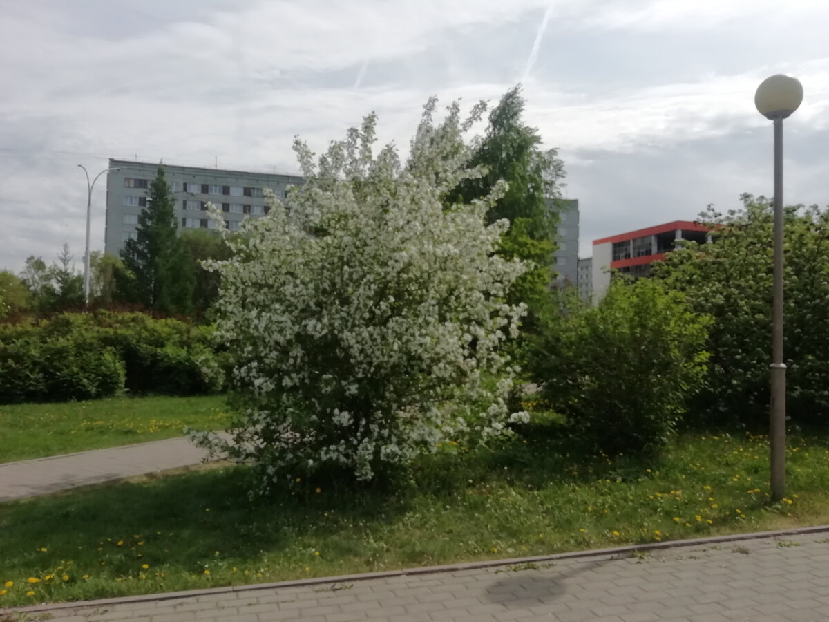 Кемерово
