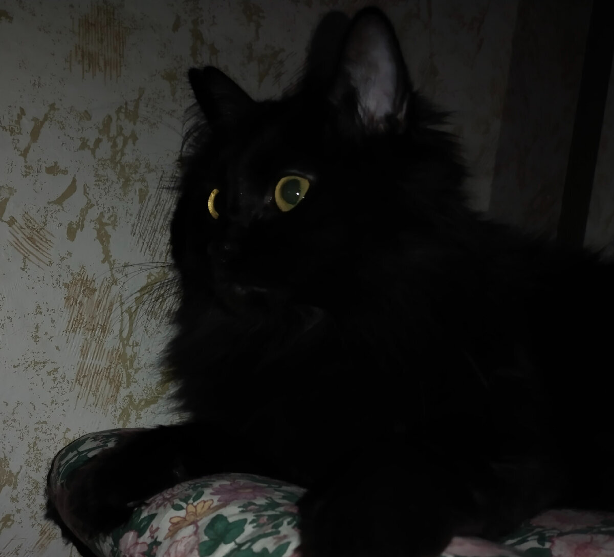 Добавьте описание