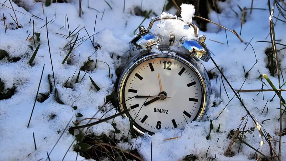 Фото: piqsels.com