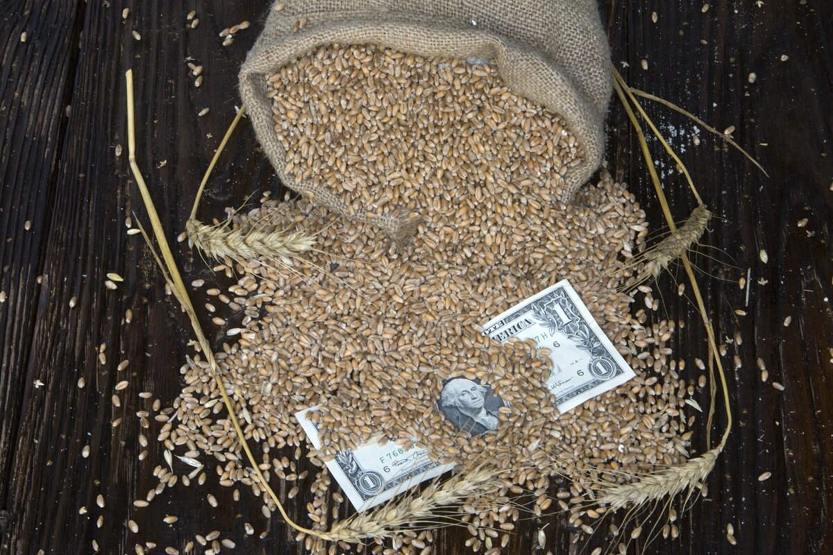 Фото: Nikolay Gyngazov/Global Look Press