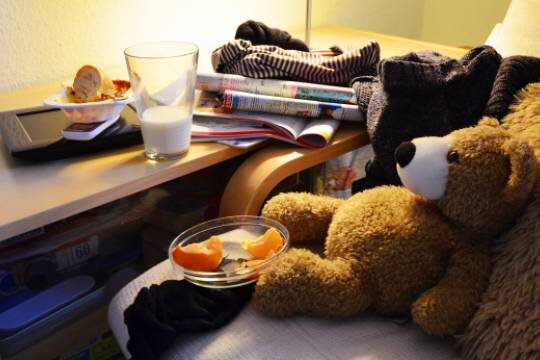    В захламлённой квартире нашли голодного школьника