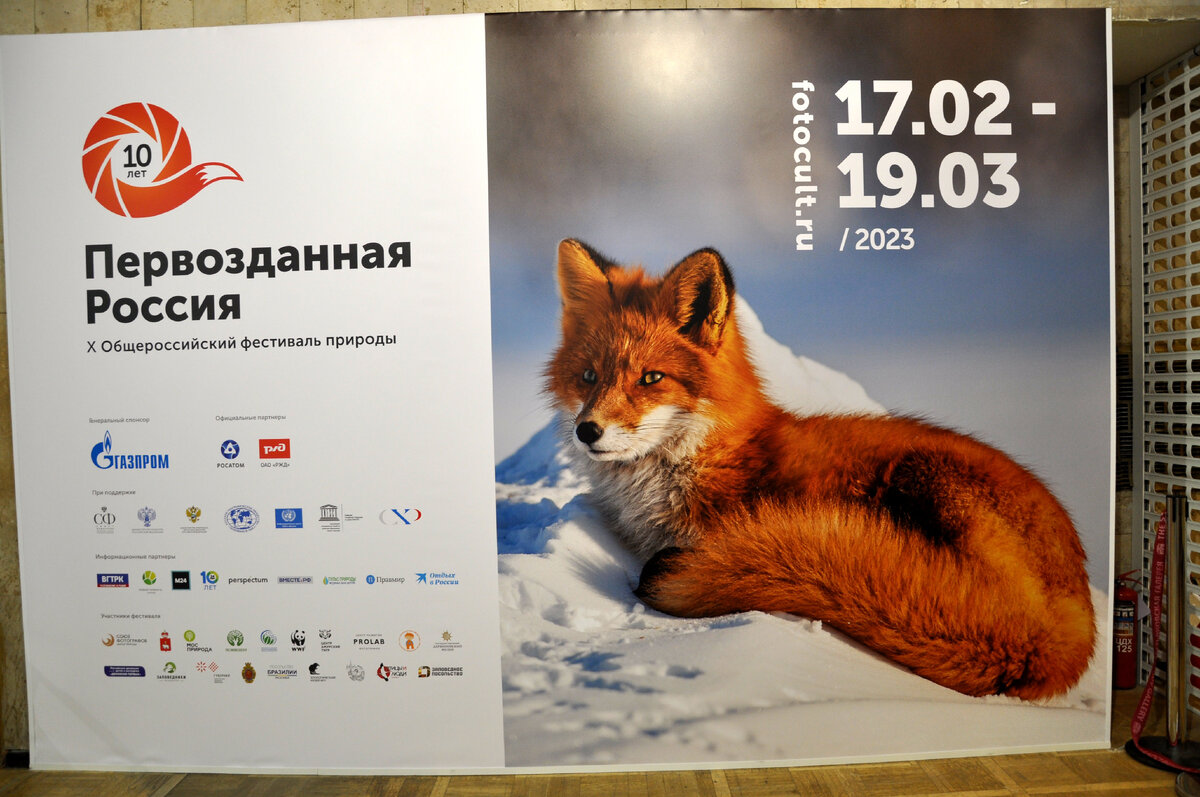 Билеты на выставку первозданная россия 2024