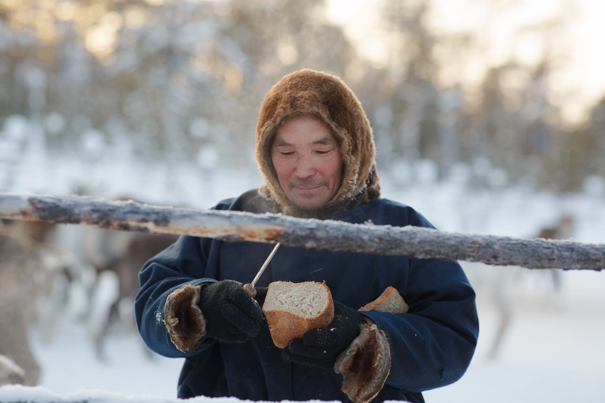 Оленевод Юрий