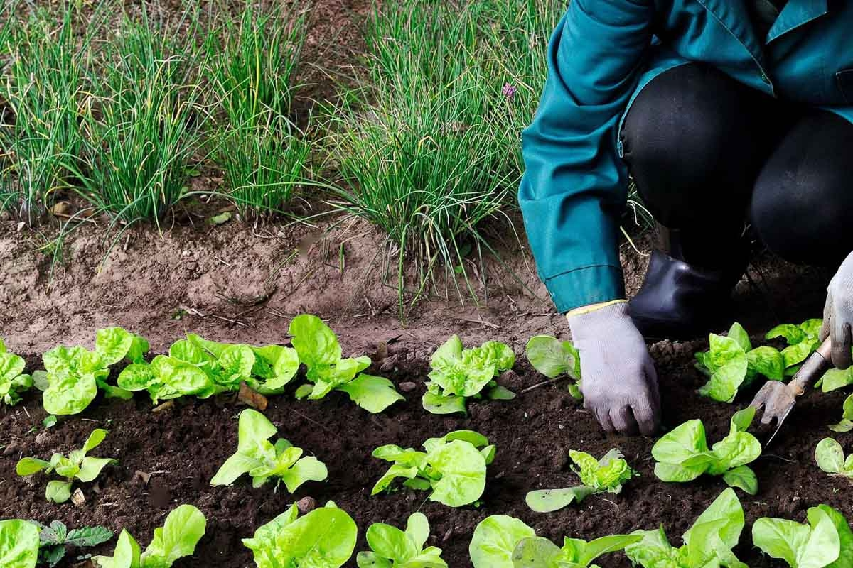 Источник moyasotka.com