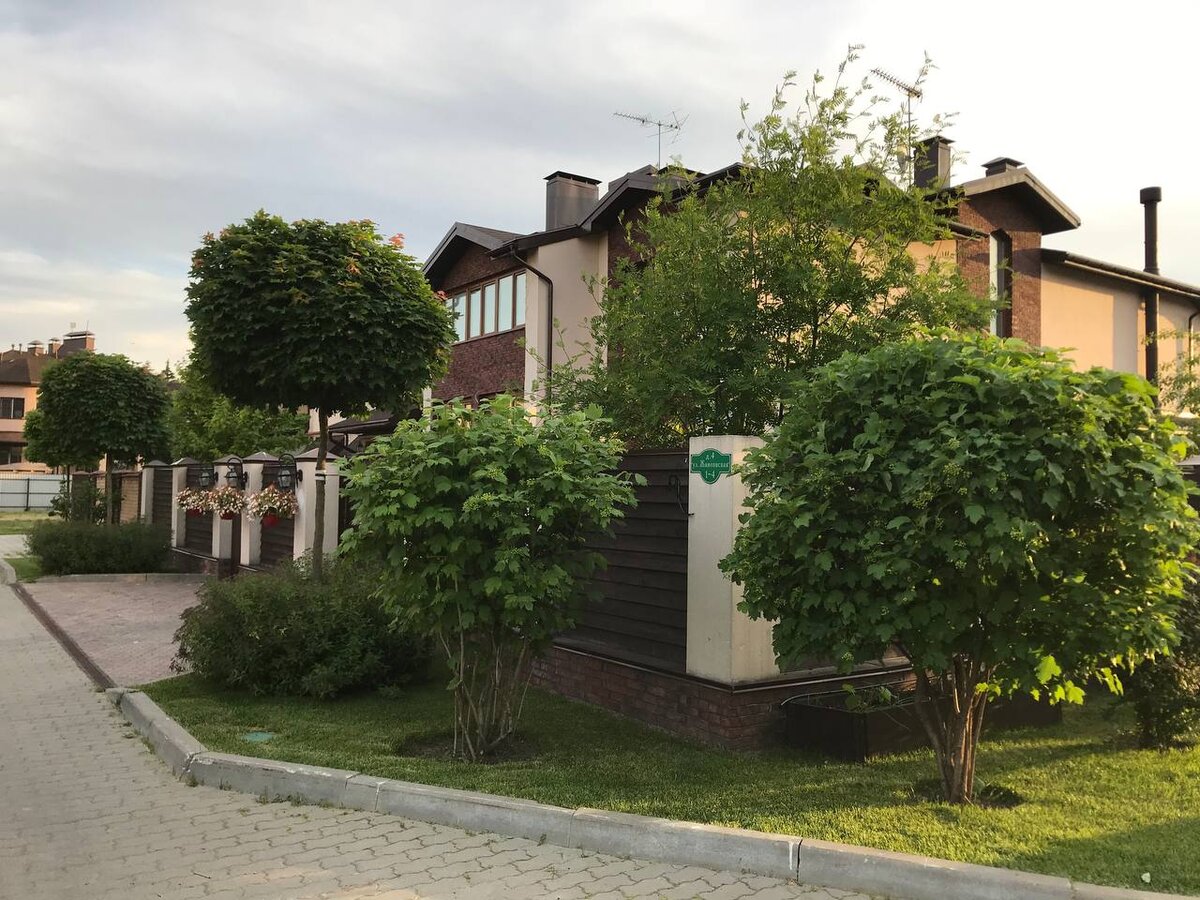 Калина обыкновенная может выглядеть так 