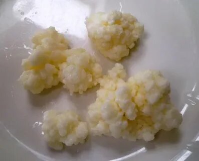 Высушенный гриб.