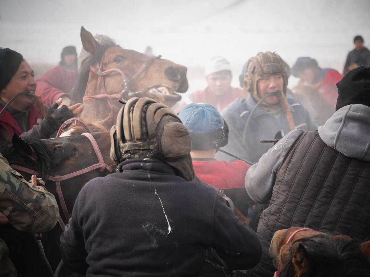Лучшие качества игрока в улак (улакчи)
Мастерство наездника и заводчика, физическая сила и ловкость, способность к длительной борьбе, смелость и расчет.