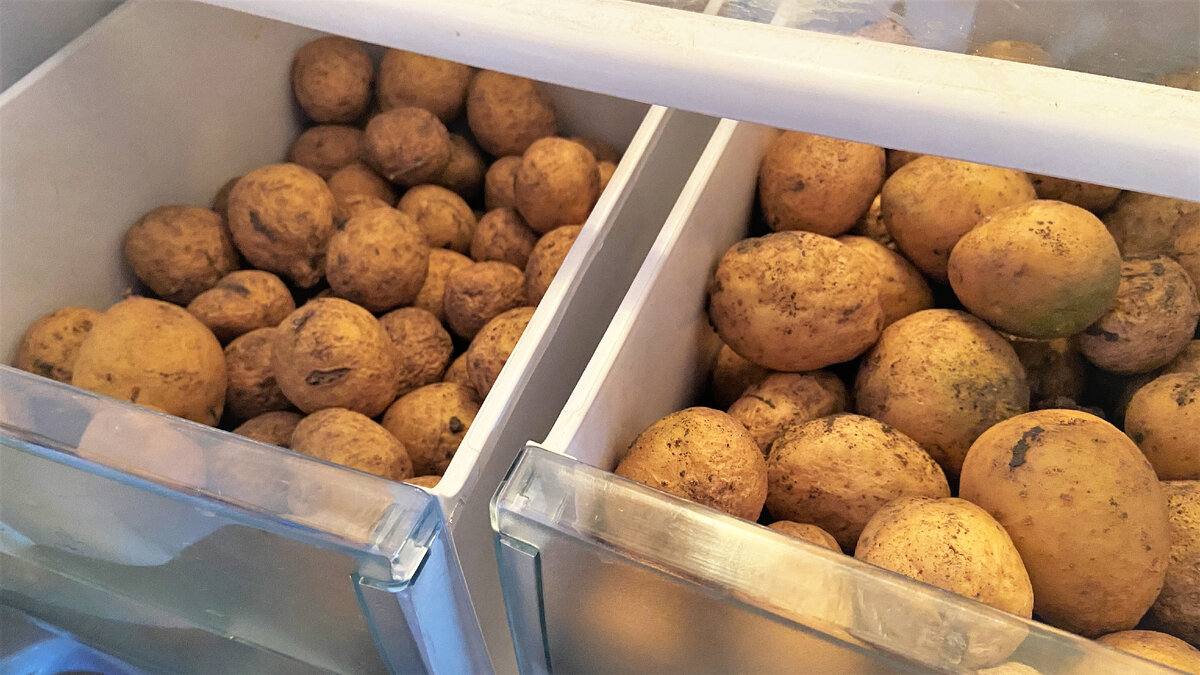 Много картофеля не сажу, поэтому и посадочного так не много