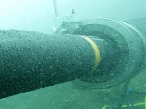    фото: orelsreda.ru Лаура Акопян