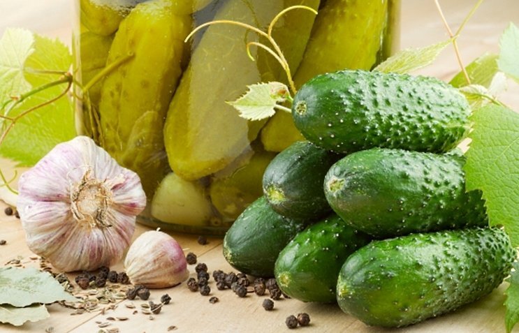      Рецепт засолки огурцов