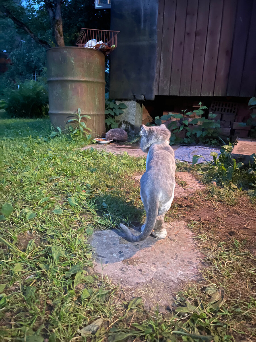 У нас тут, своя атмосфера 