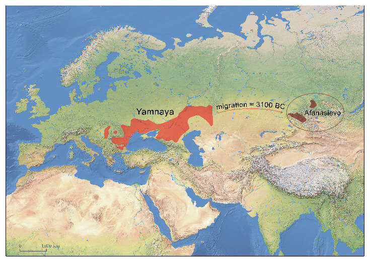 https://nplus1.ru/news/2023/03/03/earliest-horsemanship