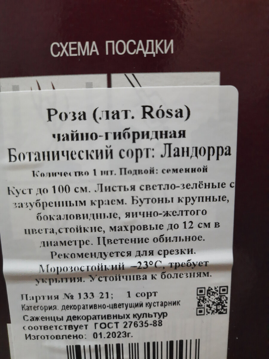 Радость садовода. | Дилетанты | Дзен