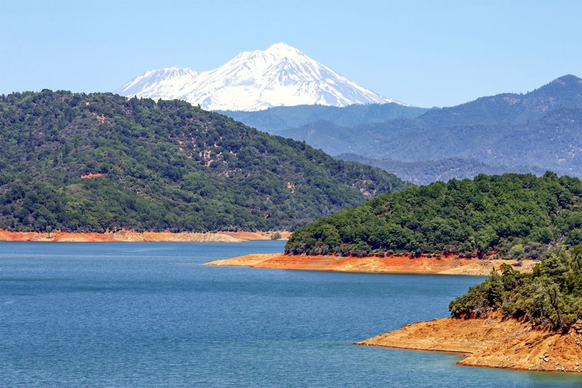 Яндекс. Открытый источник 