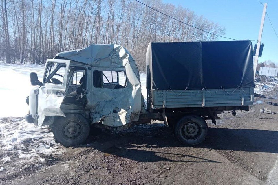     В Новосибирской области столкнулись два грузовика. Фото: Госавтоинспекция по НСО