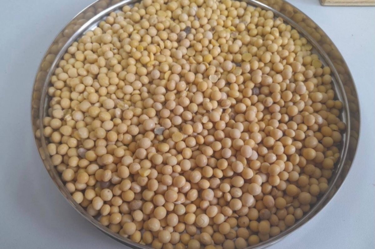    В крупной партии сои в Хабкрае обнаружили опасный сорняк