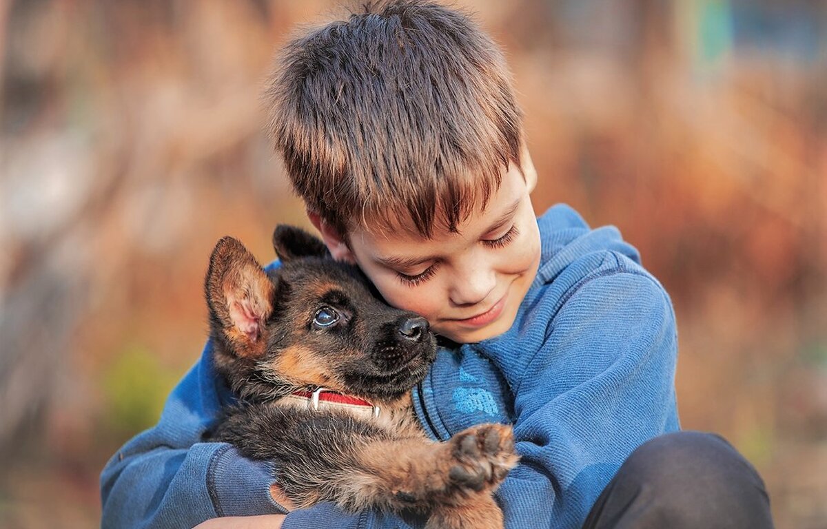 Щенок | Живые страницы | Дзен