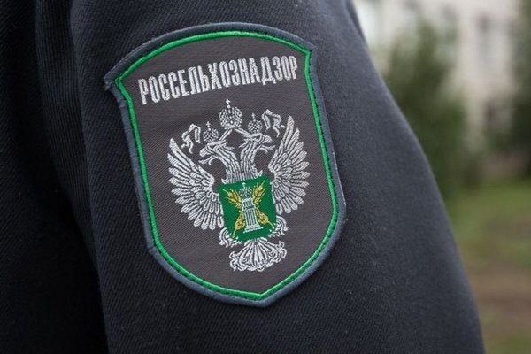    В какие дали смотрит Богомаз: в Брянской области заросли 3800 га сельскохозяйственных земель — площадь Новозыбкова avchernov