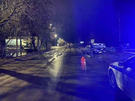    Фото Госавтоинспекция Архангельской области
