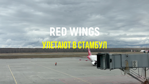 RedWings летят в Стамбул